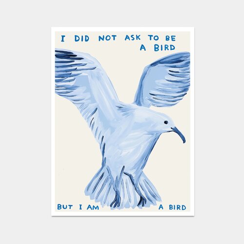 i did not ask to be a bird but I am a bird by David Shrigley, Print for Sale on Singulart