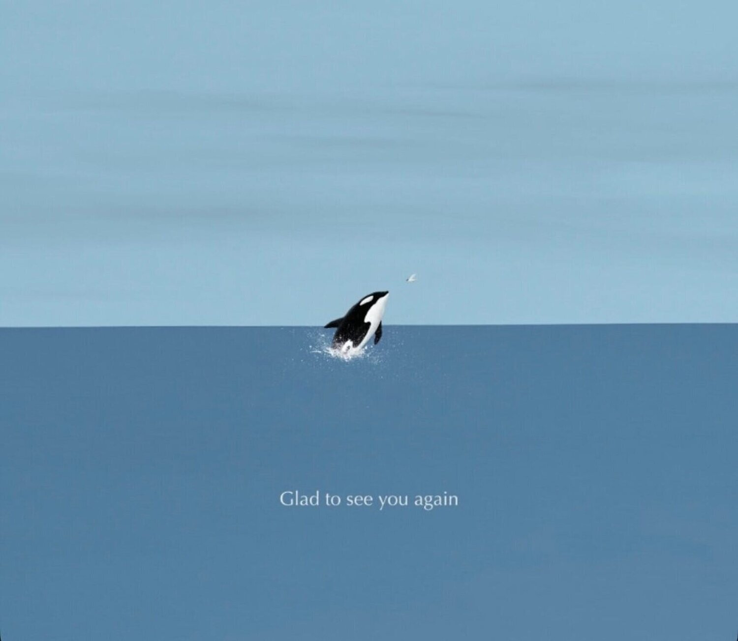 Glad to see you Again (Whale) Suntur Druck zu verkaufen