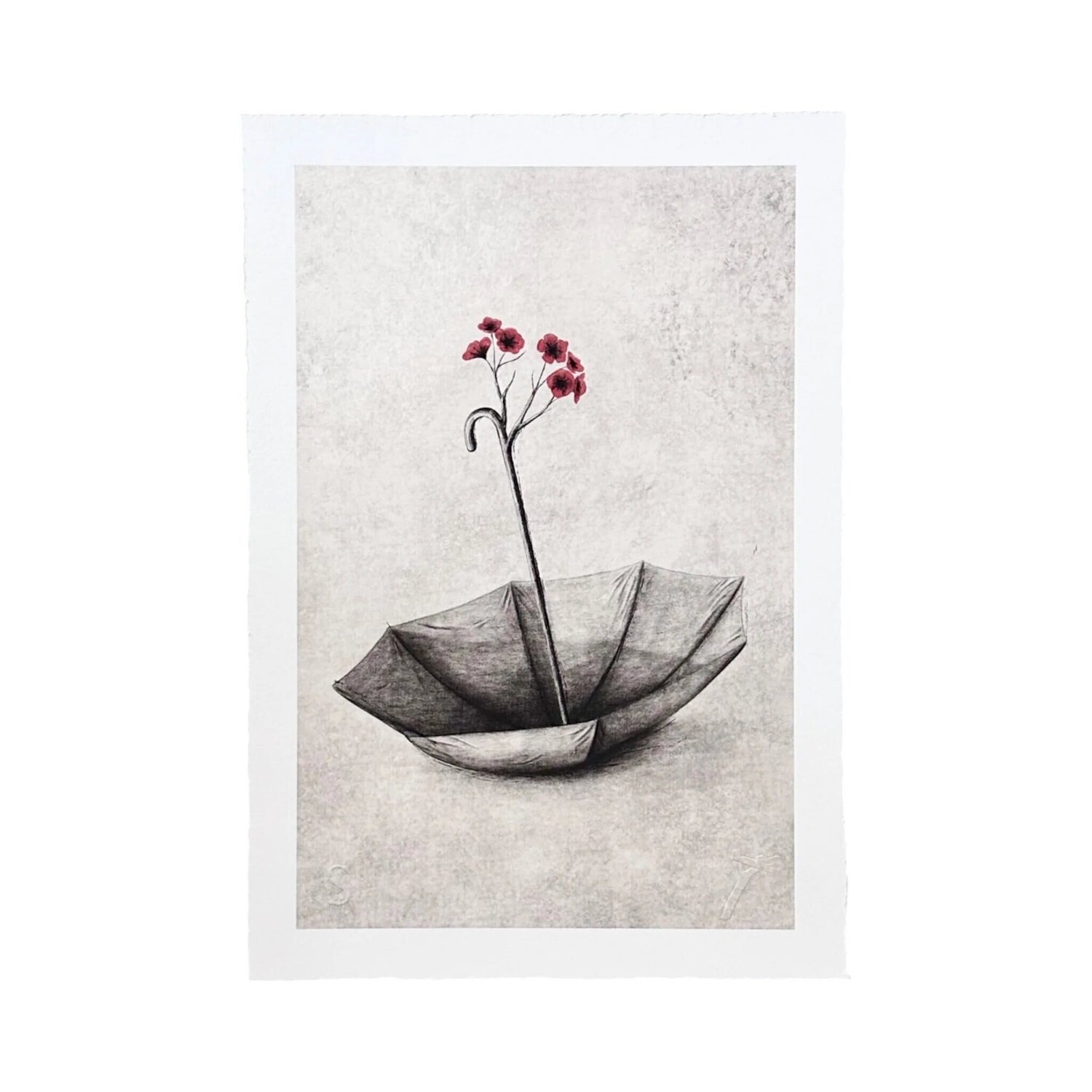 Bloom Andrew Scott Print for sale