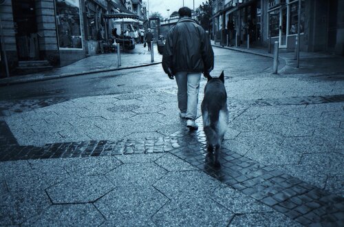 Der Zuverlassige Freund Wiesbaden 1993 Deutschland de Dmitri Svetchnikov, Fotografía a la venta en Singulart