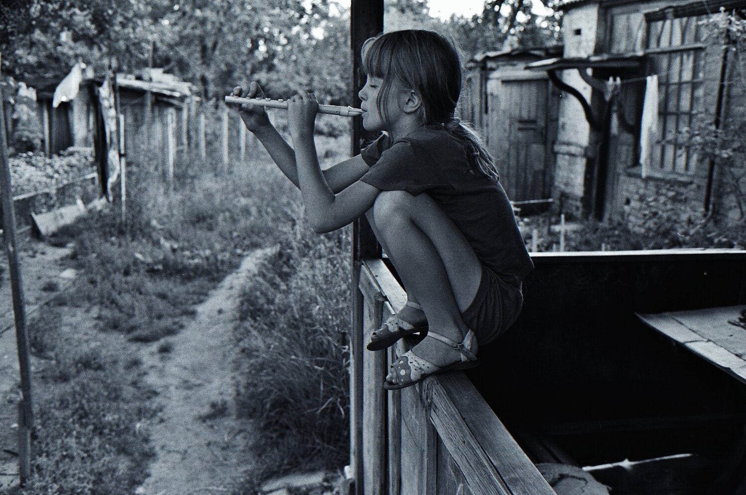 Die Pfeife 1977 Ukraine Dmitri Svetchnikov Fotografie zu verkaufen