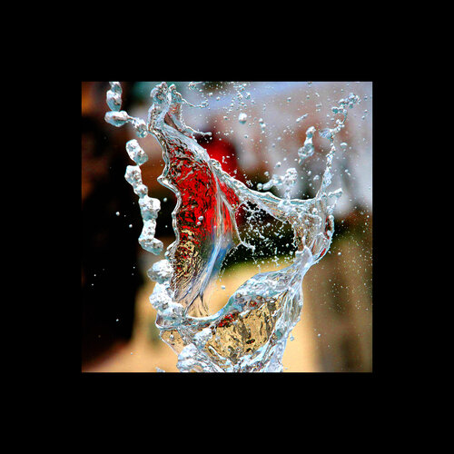 Number 3. A collector can name this work. von Dzmitry Rusak, Fotografie kaufen auf Singulart