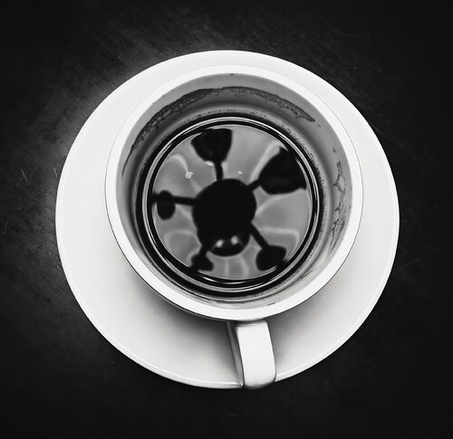 Spider Coffee Lover by Dzmitry Rusak, 사진 for Sale on Singulart