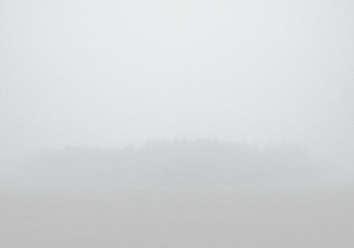 Fog 2 van Dzmitry Rusak, Fotografie te koop op Singulart