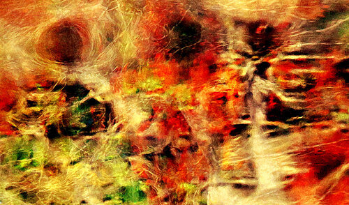 Ritual Dance of an African Tribe van Dzmitry Rusak, Fotografie te koop op Singulart