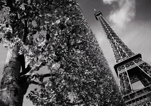 Elf Tower II. Unique Work, 1/1 di Dzmitry Rusak, Fotografia in vendita su Singulart