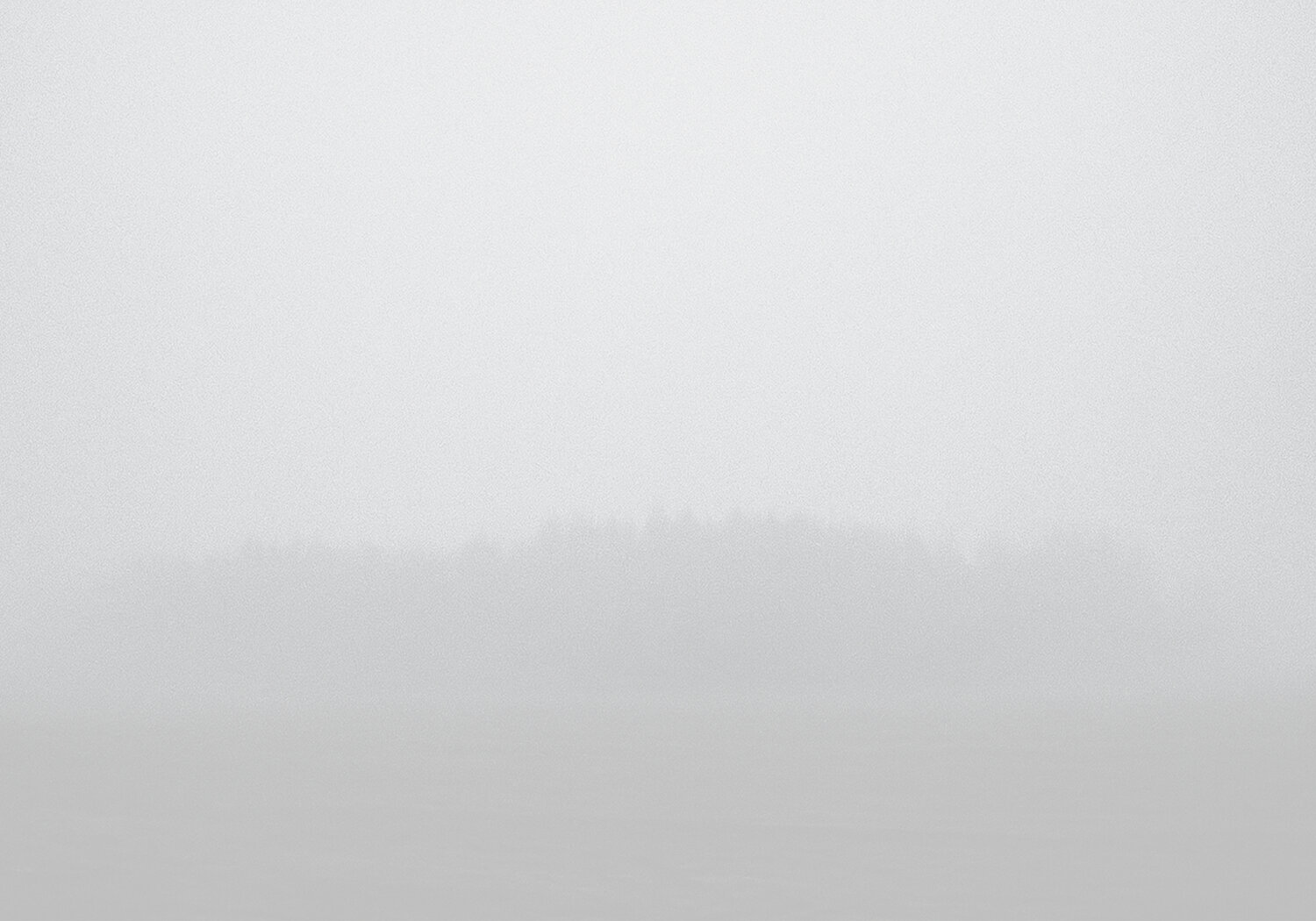 Fog 2 Dzmitry Rusak