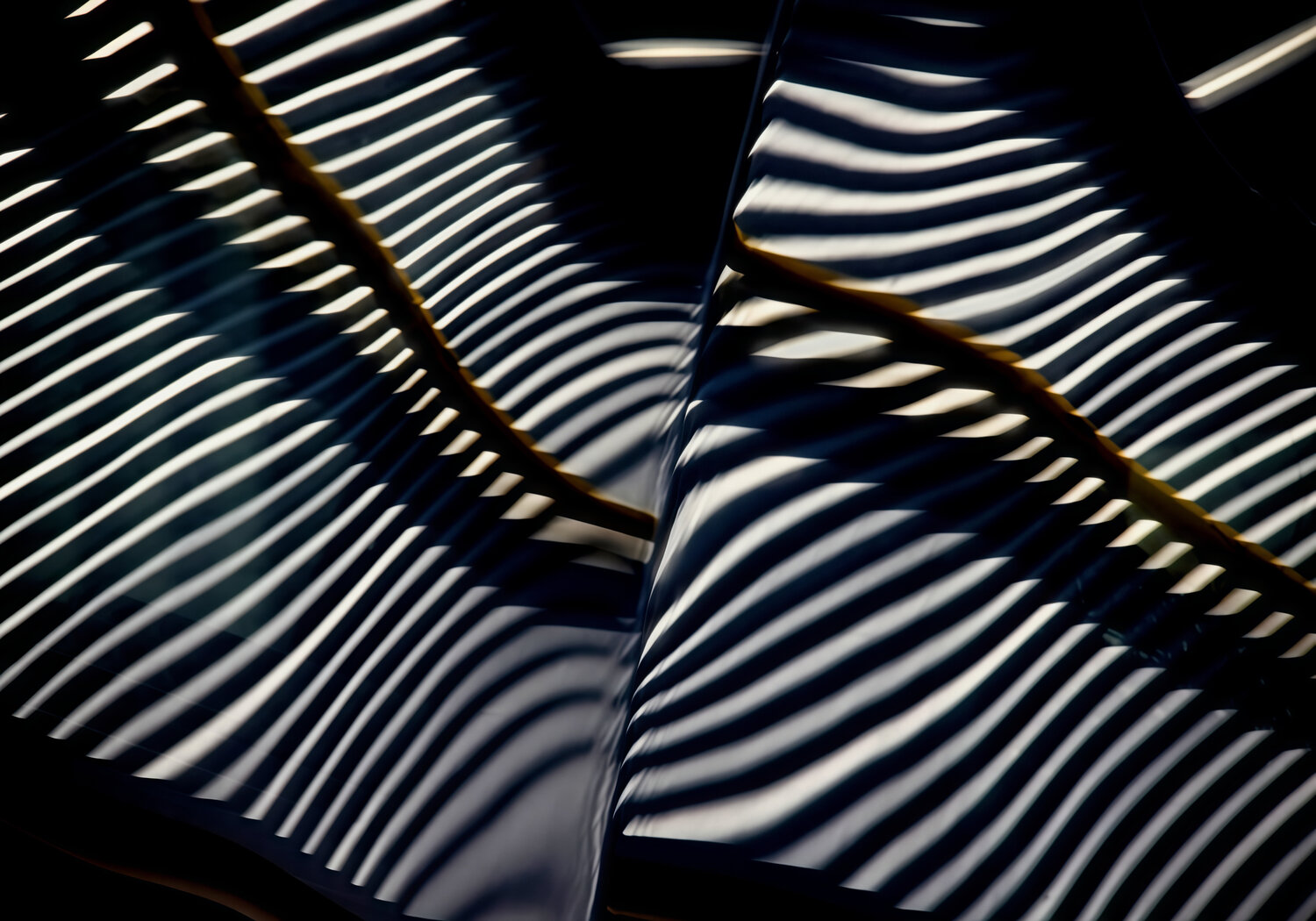 Street Reflection №5 Dzmitry Rusak