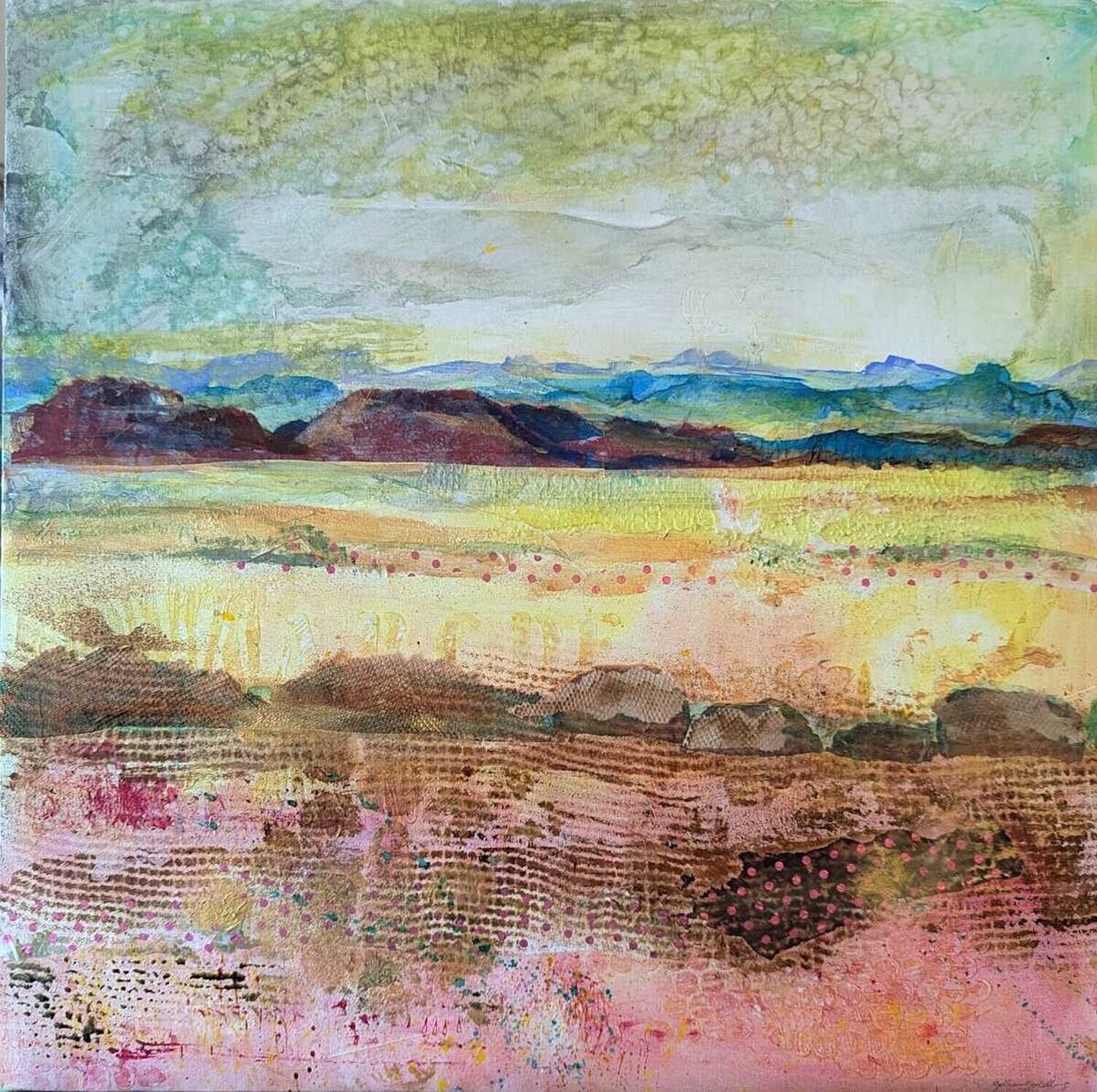 Negev Landscape Jillian Goldberg
