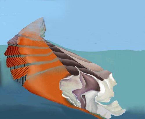 When Color Sleeps In Curves, What’s Next? di Barbara Gothard, Digitale in vendita su Singulart