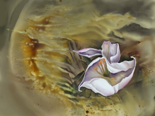 Renge 9 di Barbara Gothard, Digitale in vendita su Singulart