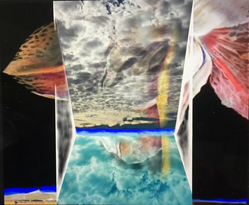Untitled van Barbara Gothard, Digitaal te koop op Singulart