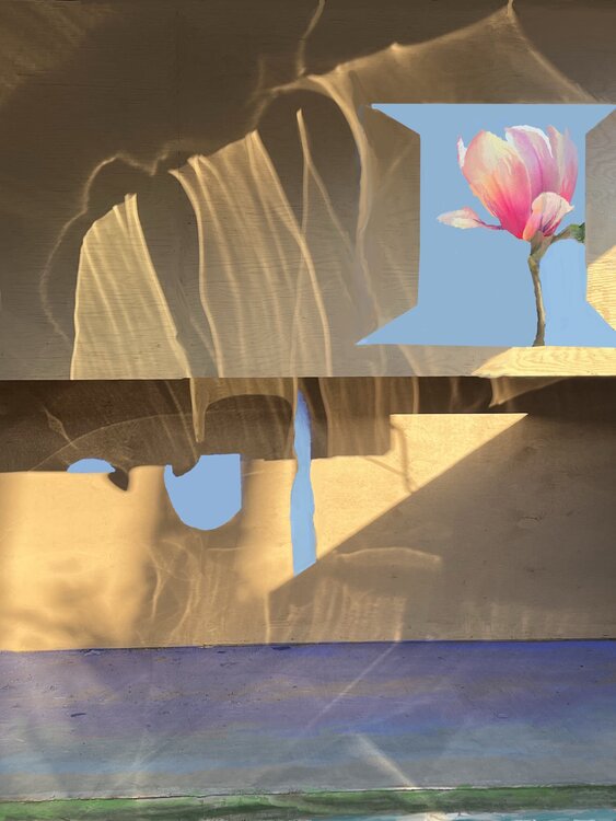 On The Verge Barbara Gothard