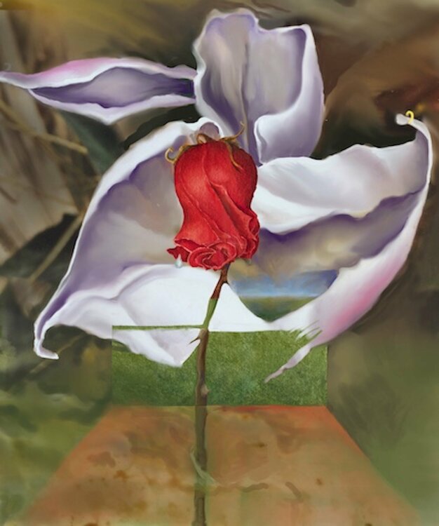 Renge Evolving Barbara Gothard