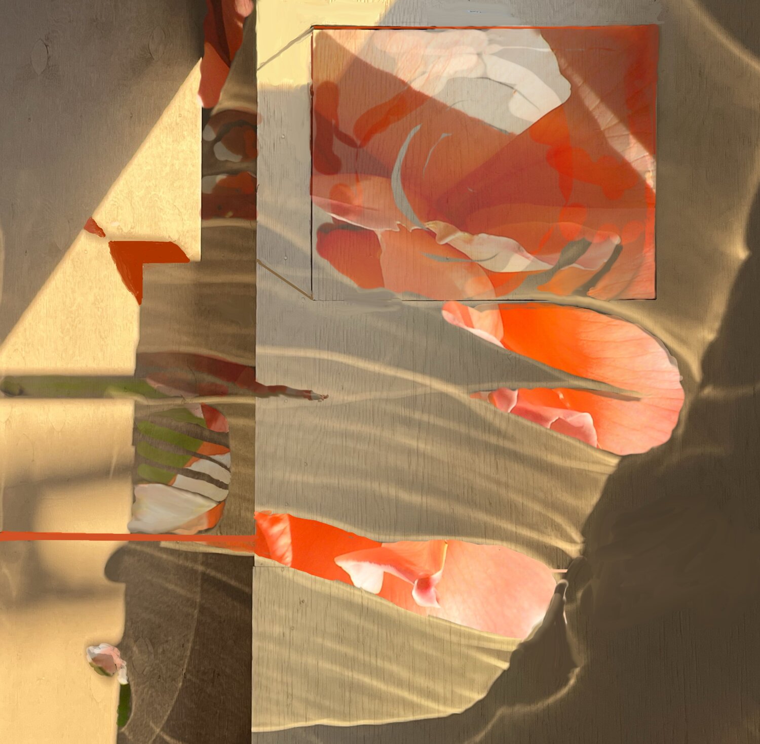 Light Forgets, Petals Remain Barbara Gothard