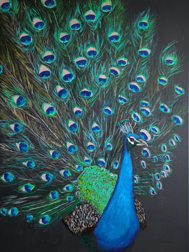 Pfau di Angelika Fend, Pittura in vendita su Singulart
