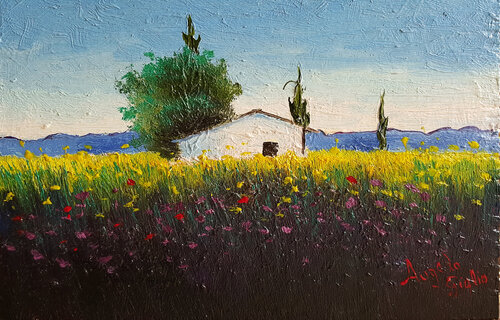 Casa Bianca tra i Fiori gialli van Angelo Giglio, Schilderij te koop op Singulart