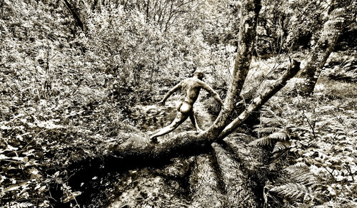 Au pied de mon arbre di Verna Michel, Fotografia in vendita su Singulart