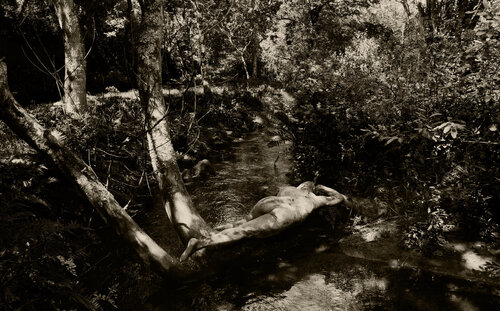 Fusion di Verna Michel, Fotografia in vendita su Singulart