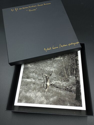 Osmose en boite écrin di Verna Michel, Fotografia in vendita su Singulart