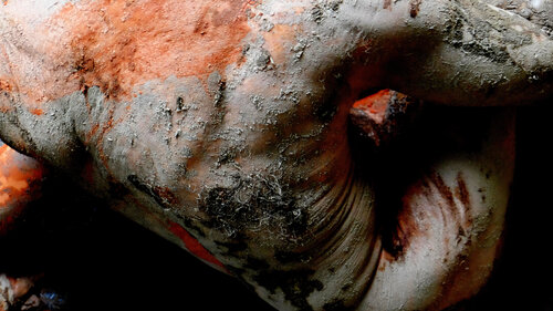 Force di Verna Michel, Fotografia in vendita su Singulart