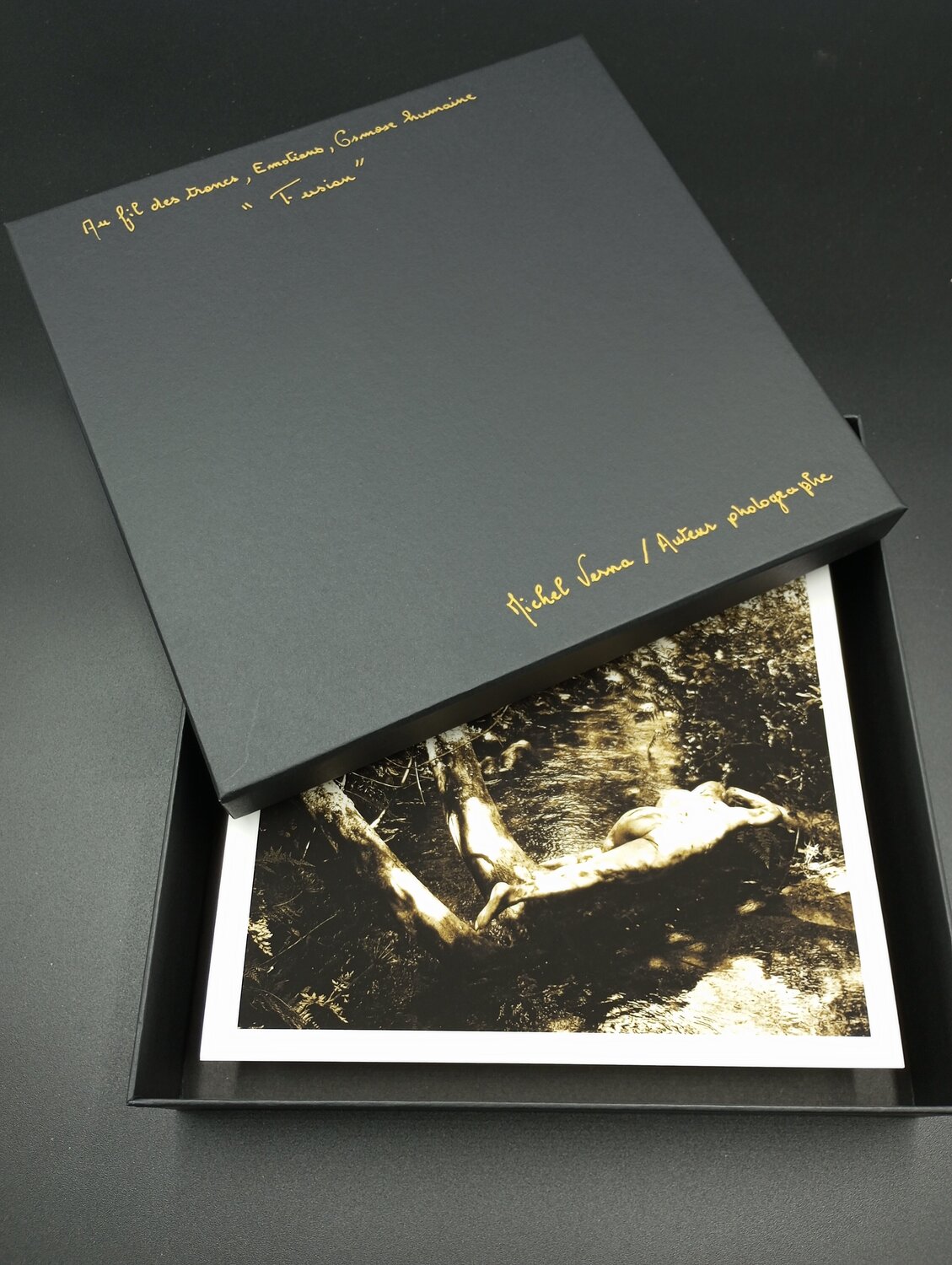 Fusion en boite écrin Verna Michel Fotografie zu verkaufen