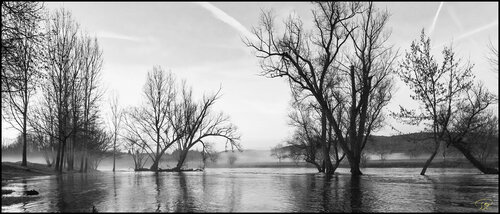 Brumes du soir de Philippe Rozier, Fotografía a la venta en Singulart