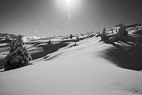 Série : Margeriaz - 3 de Philippe Rozier, Fotografía a la venta en Singulart