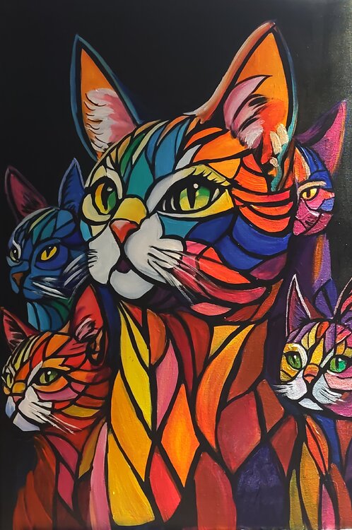 Cats Marcell Dergecz