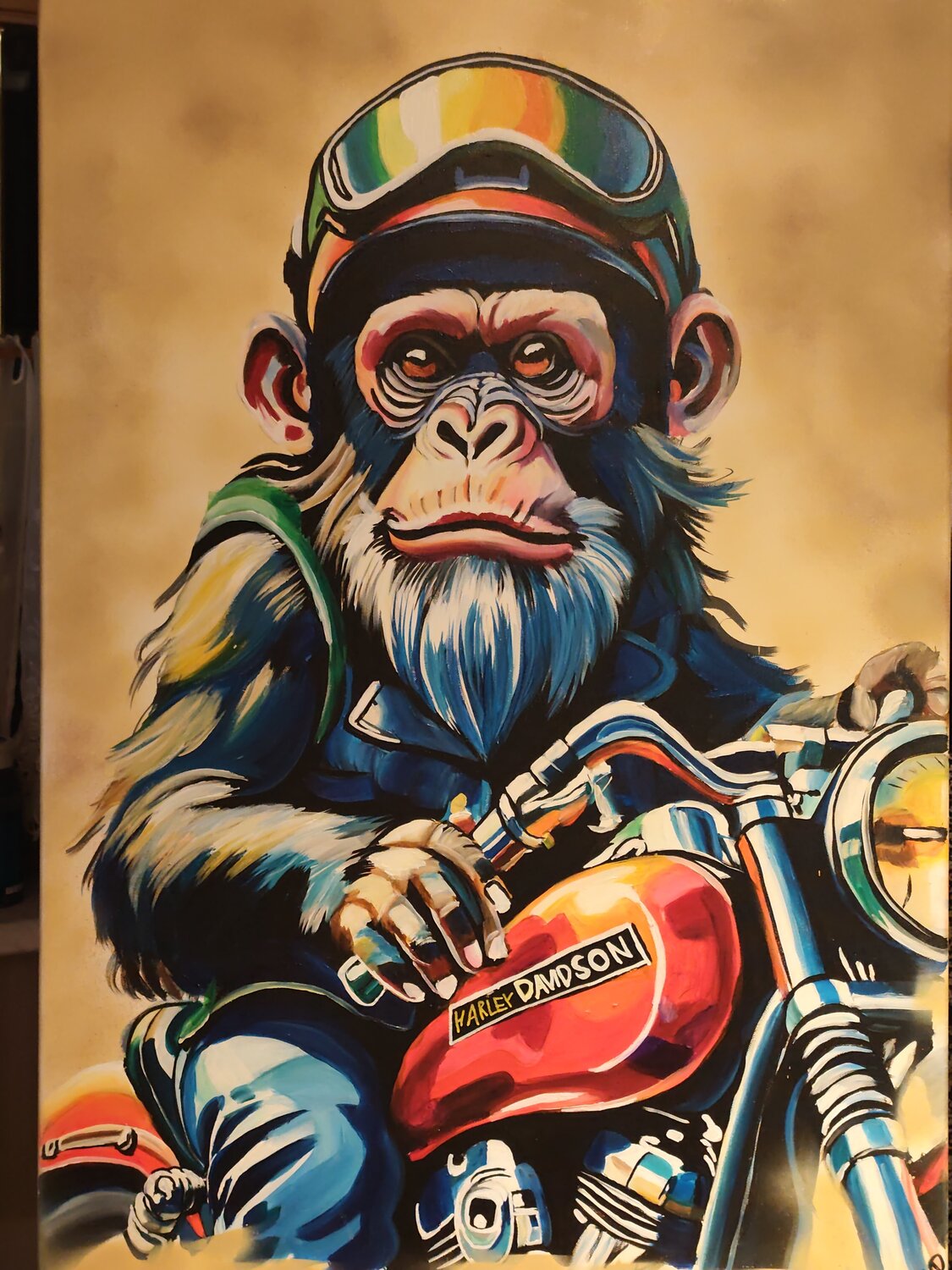 Rider Marcell Dergecz