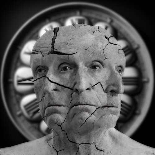 Janus van Dov Fuchs, Digitaal te koop op Singulart