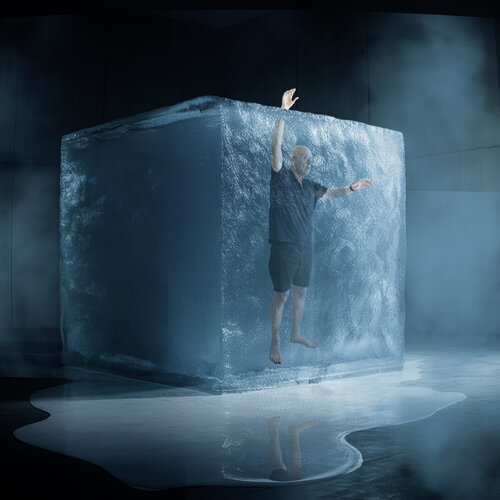 Frozen van Dov Fuchs, Digitaal te koop op Singulart