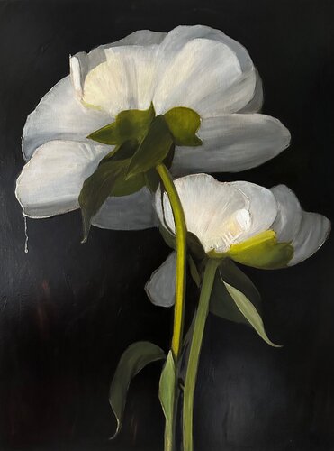 Vanessa, Vanitas 1 van Yann Kempen, Schilderij te koop op Singulart