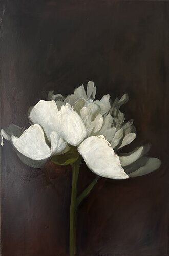 Vanessa, Vanitas (S.M1) van Yann Kempen, Schilderij te koop op Singulart