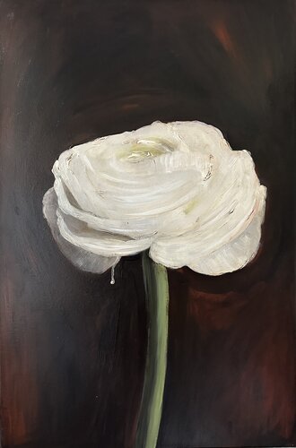 Vanessa, Vanitas (S.M3) van Yann Kempen, Schilderij te koop op Singulart
