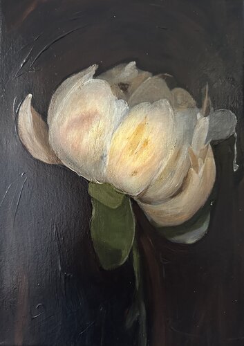 Vanessa, Vanitas (S.P.4) von Yann Kempen, Malerei kaufen auf Singulart