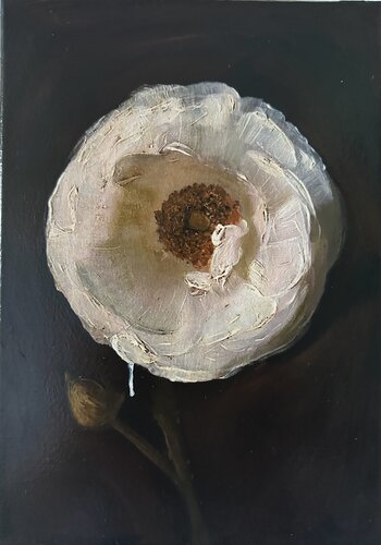 Vanessa, Vanitas (S.P.5) van Yann Kempen, Schilderij te koop op Singulart