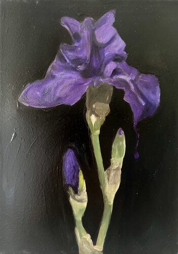 Vanessa, Vanitas (S.P.9) van Yann Kempen, Schilderij te koop op Singulart