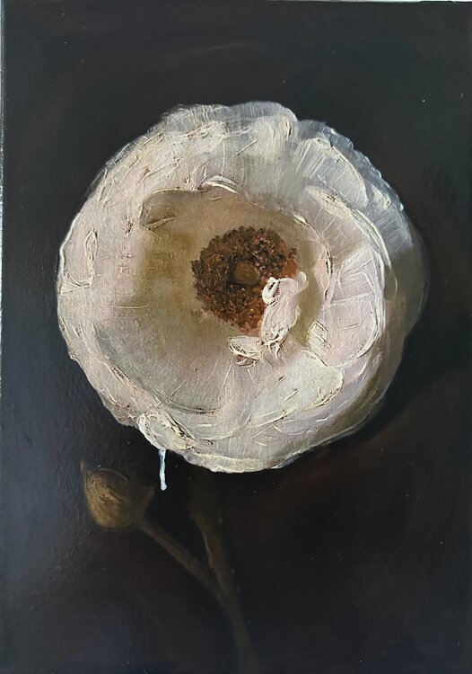 Vanessa, Vanitas (S.P.5) Yann Kempen