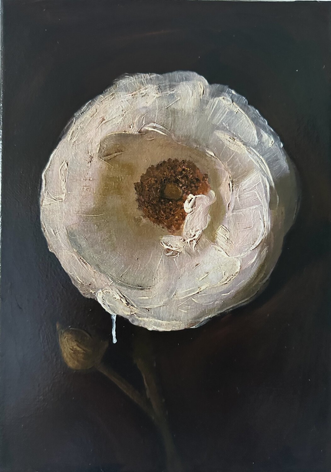 Vanessa, Vanitas (S.P.5) Yann Kempen