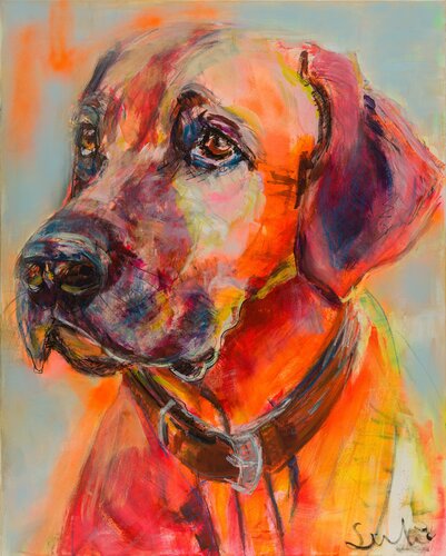 Rhodesian Ridgeback portret par Liesbeth Serlie, Peinture en vente sur Singulart