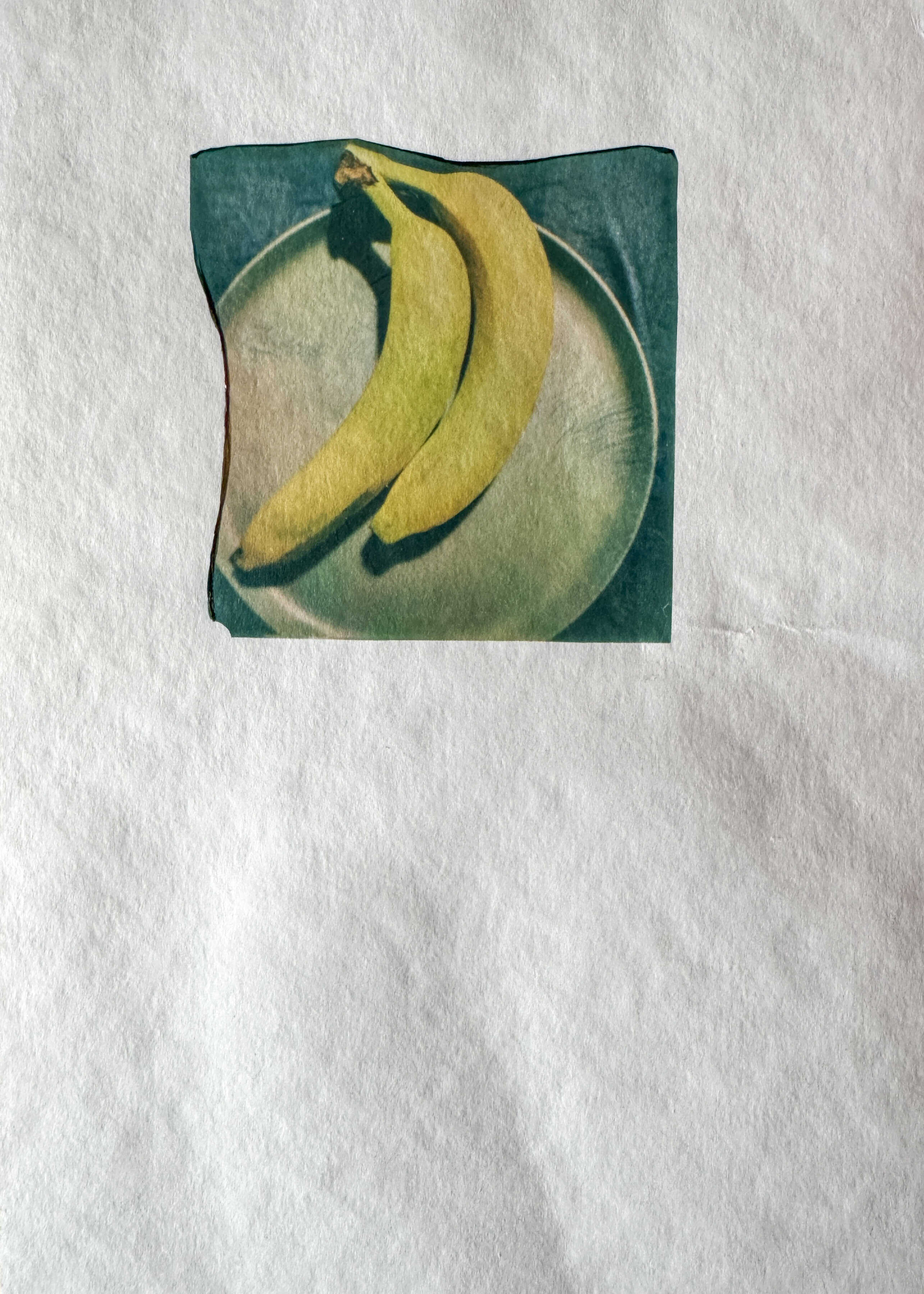Dakar Bananas