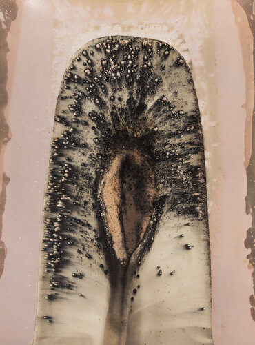 Veins of Light: An Experimental Study in Chemigrams von Nura Qureshi, Fotografie kaufen auf Singulart