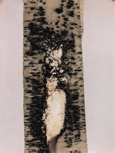 Veins of Light: An Experimental Study in Chemigrams II von Nura Qureshi, Werk auf Papier kaufen auf Singulart