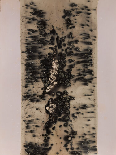 Veins of Light: An Experimental Study in Chemigrams VIII von Nura Qureshi, Werk auf Papier kaufen auf Singulart