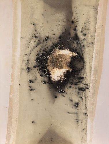 Veins of Light: An Experimental Study in Chemigrams X de Nura Qureshi, Obra en papel a la venta en Singulart