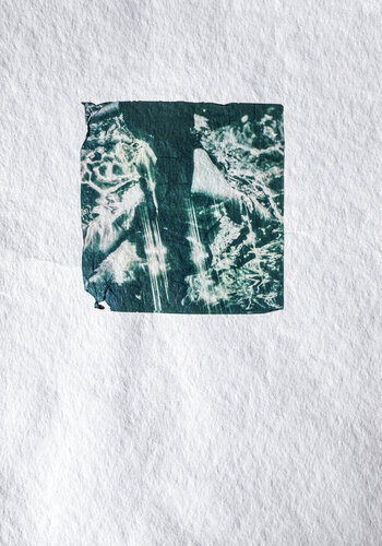 Afternoon Light von Nura Qureshi, Fotografie kaufen auf Singulart