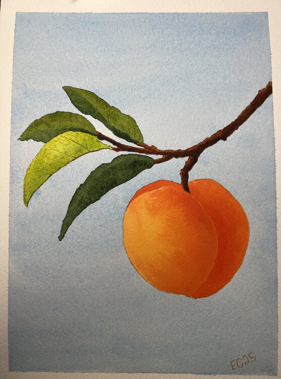 Peach Elliot Chance