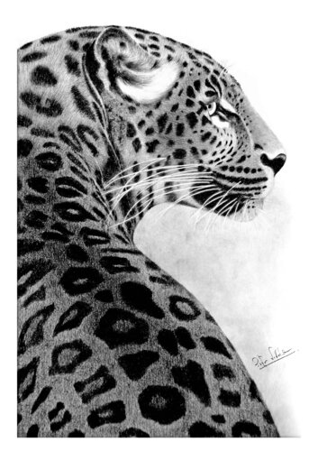 One Last Look by Indika Wijewardana, Drawing for Sale on Singulart