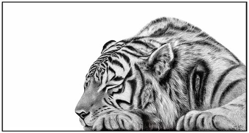 " The Stoic " di Indika Wijewardana, Disegno in vendita su Singulart